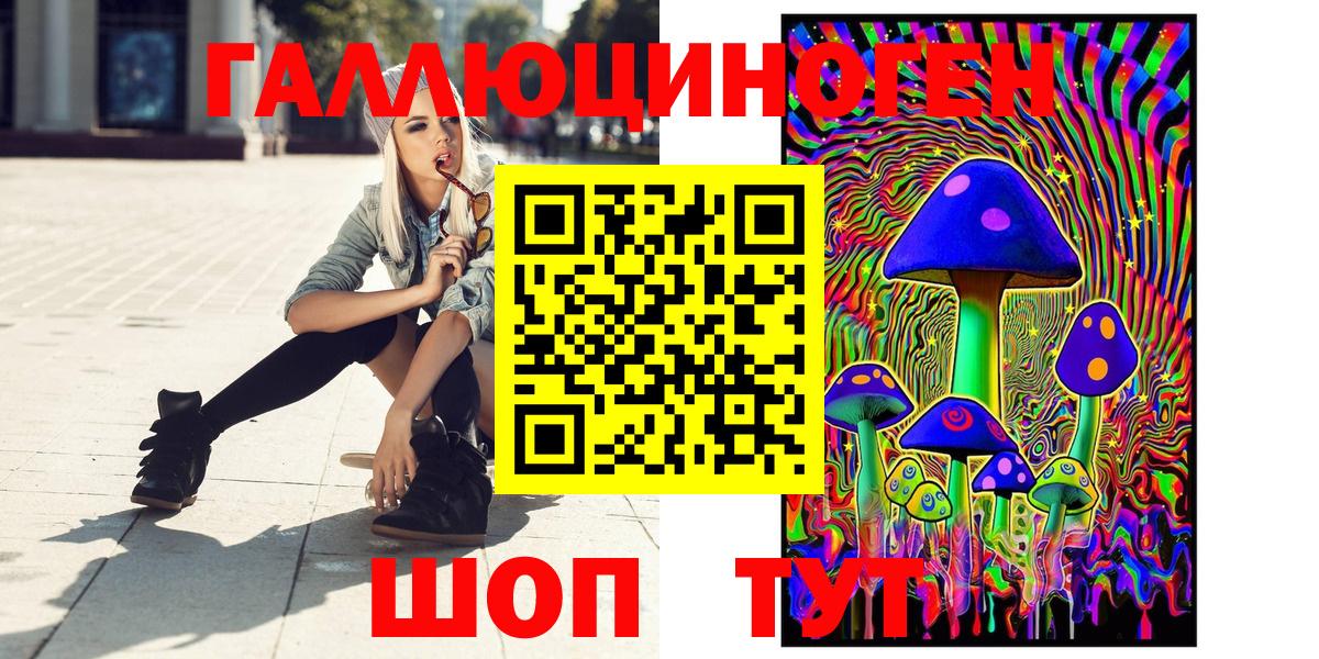 Псилоцибиновые грибы Psilocybe Камышлов