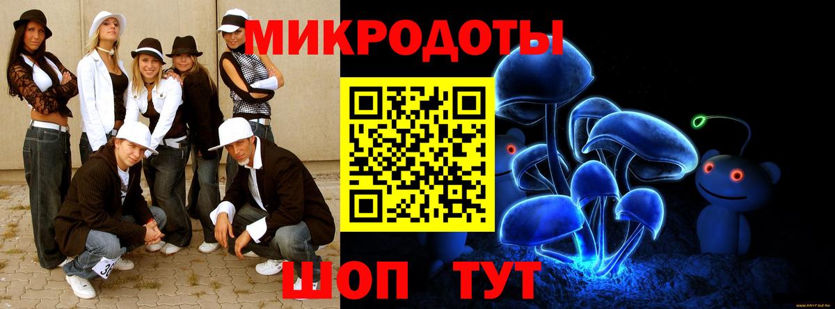 купить наркотики сайты  Галлюциногенные грибы мухоморы  Вход с VPN  Камышлов 
